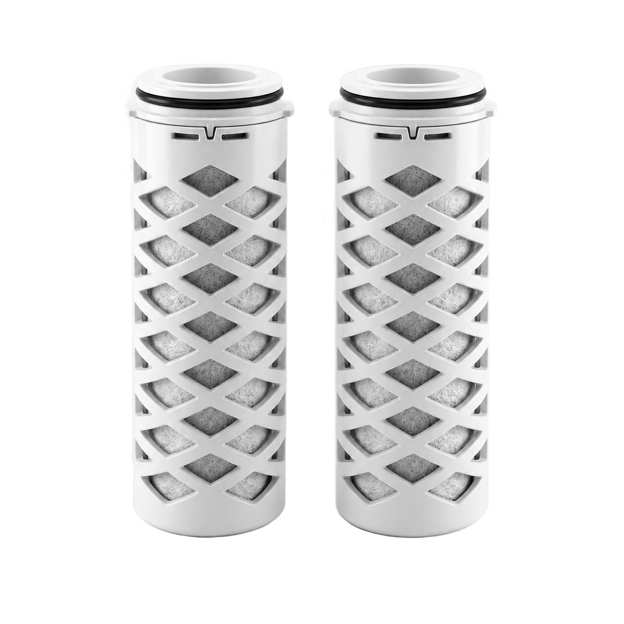 Vervangingsfilters 2-pack voor de Filter Karaf