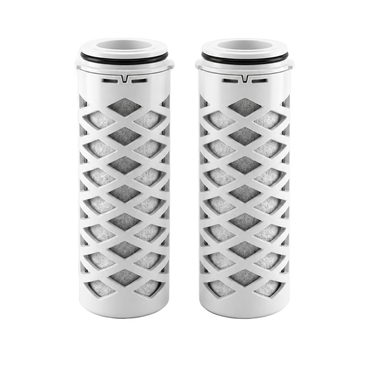 Vervangingsfilters voor Waterfilterkan (2-pack)